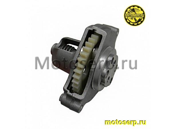Купить  Насос масляный в сб 169FMM  CB250 39зуб (шт) (ML 5256 купить с доставкой по Москве и России, цена, технические характеристики, комплектация фото  - motoserp.ru