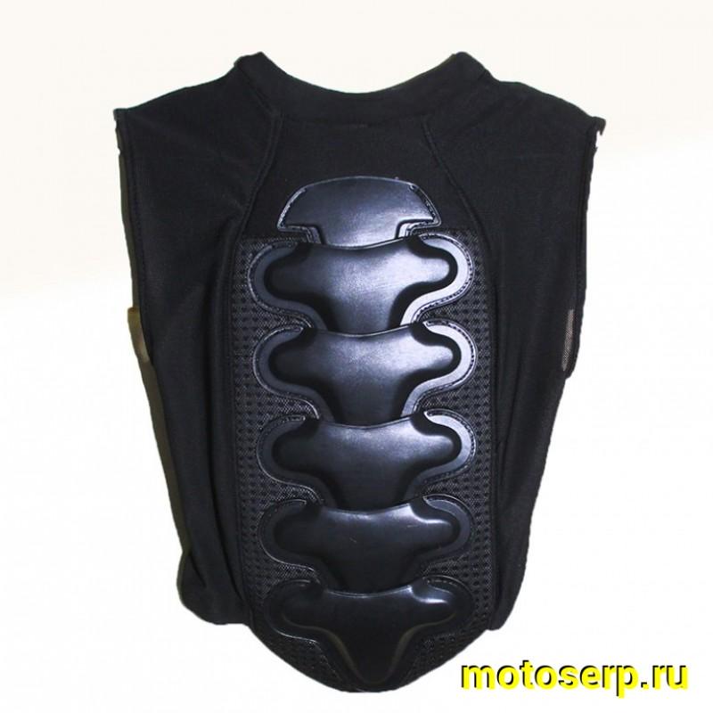 Купить  Защита тела (защита спины) PROBIKER (Про-Байкер)  VSPS002 (S) (шт) (0 купить с доставкой по Москве и России, цена, технические характеристики, комплектация фото  - motoserp.ru