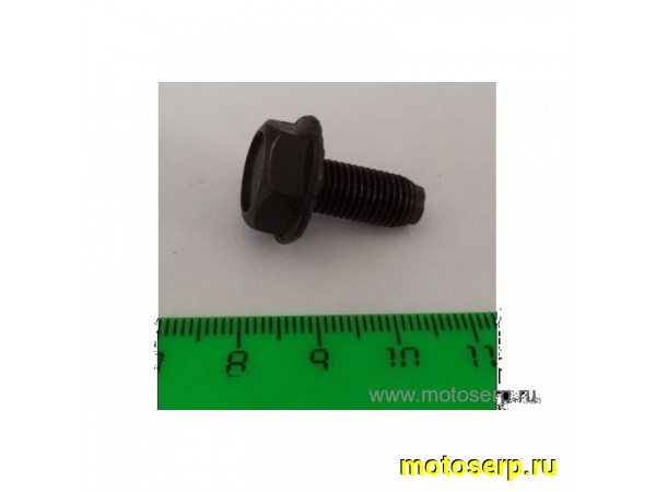 Купить  Болт каретки под ключ (шт) (Ряб (Дан (MOTO-SKUTER 9812 (R4  купить с доставкой по Москве и России, цена, технические характеристики, комплектация фото  - motoserp.ru