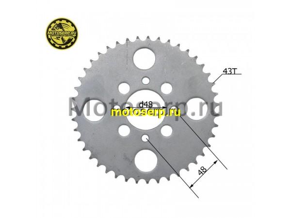 Купить  Звезда ведомая голая (венец) (428-43) (428-43T D-48mm, 4x48mm) ATV IRBIS 70-125Utt и др. (шт) (ML 10216 купить с доставкой по Москве и России, цена, технические характеристики, комплектация фото  - motoserp.ru