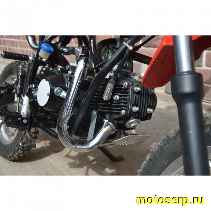 Купить  Питбайк Орион Грифон Orion Gryphon цена характеристики запчасти доставка фото  - motoserp.ru