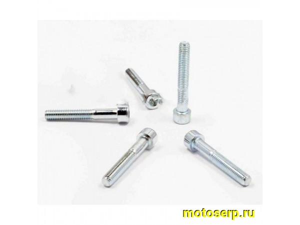 Купить  Болты (винты) крышки вариатора Honda DIO AF18/27   (шестигранный шлиц, 5шт)   "AS"(комп) (0 купить с доставкой по Москве и России, цена, технические характеристики, комплектация фото  - motoserp.ru