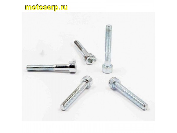 Купить  Болты (винты) крышки вариатора Honda DIO AF18/27   (шестигранный шлиц, 5шт)   "AS"(комп) (0 купить с доставкой по Москве и России, цена, технические характеристики, комплектация фото  - motoserp.ru