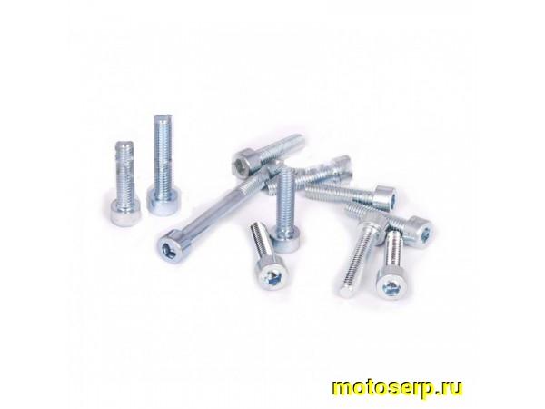 Купить  Болты (винты) крышки вариатора Yamaha   (шестигранный  шлиц, 11шт)   "AS"(комп) (0 купить с доставкой по Москве и России, цена, технические характеристики, комплектация фото  - motoserp.ru