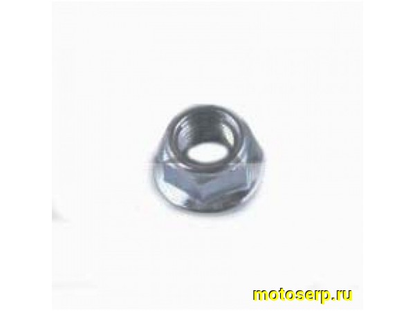 Купить  Гайка колеса, оси М14 шаг-1.5 (со стопорным кольцом) "GUANG" (шт) (ANKON 021695 (К-дар 2207005 купить с доставкой по Москве и России, цена, технические характеристики, комплектация фото  - motoserp.ru