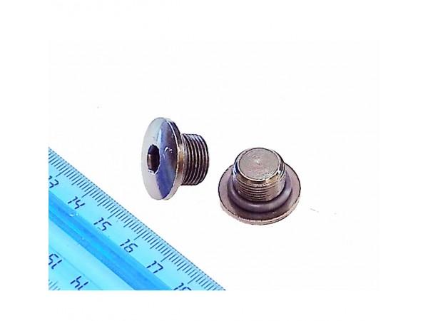Купить  Болт (заглушка) крепления коромысел ZS170MM-2, ZS177MM, ZS174MN (M14x1) (шт) (ML 6458 (Regul 100105195 купить с доставкой по Москве и России, цена, технические характеристики, комплектация фото  - motoserp.ru