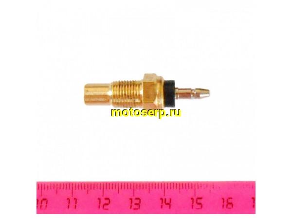 Купить  Датчик температуры двигателя ZS169MM (шт) (ML 6435 купить с доставкой по Москве и России, цена, технические характеристики, комплектация фото  - motoserp.ru