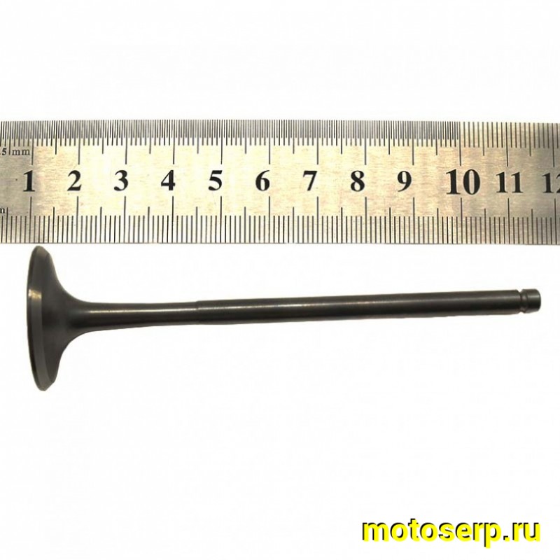 Купить  Клапан 177ММ (впуск/выпуск) (D-28mm, d-24mm, L-100mm, l-100mm, T-5mm, t-5mm) ZS170MM-2 ZS177MM(NC250) (пар) (ML 14967 купить с доставкой по Москве и России, цена, технические характеристики, комплектация фото  - motoserp.ru