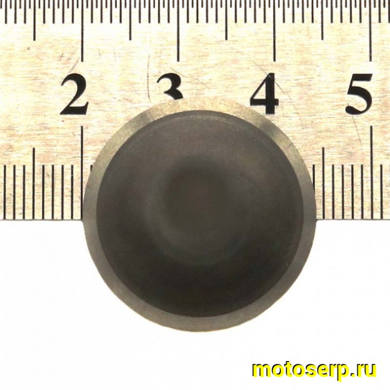 Купить  Клапан 177ММ (впуск/выпуск) (D-28mm, d-24mm, L-100mm, l-100mm, T-5mm, t-5mm) ZS170MM-2 ZS177MM(NC250) (пар) (ML 14967 купить с доставкой по Москве и России, цена, технические характеристики, комплектация фото  - motoserp.ru