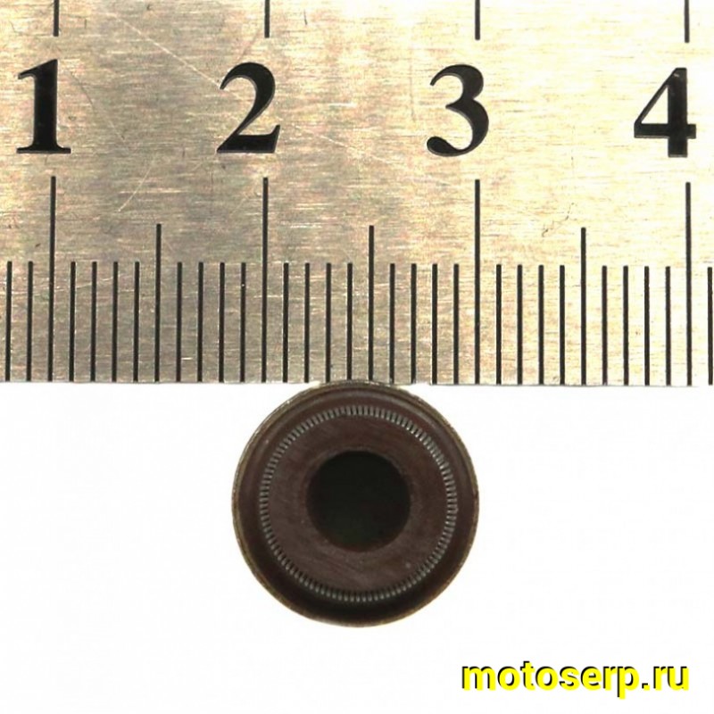 Купить  Клапан 177ММ (впуск/выпуск) (D-28mm, d-24mm, L-100mm, l-100mm, T-5mm, t-5mm) ZS170MM-2 ZS177MM(NC250) (пар) (ML 14967 купить с доставкой по Москве и России, цена, технические характеристики, комплектация фото  - motoserp.ru