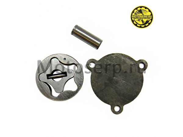 Купить  Насос масляный в сб 177MM ZS177MM(NC250) большой (шт) (ML 6502 купить с доставкой по Москве и России, цена, технические характеристики, комплектация фото  - motoserp.ru