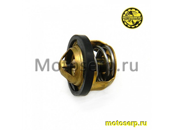 Купить  Термостат (голый) ZS169MM и др. (шт) (ML 6434 (0 купить с доставкой по Москве и России, цена, технические характеристики, комплектация фото  - motoserp.ru