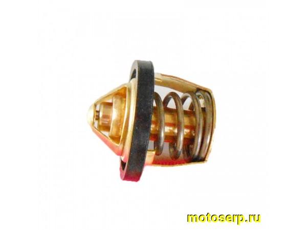 Купить  Термостат (голый) ZS169MM и др. (шт) (ML 6434 (0 купить с доставкой по Москве и России, цена, технические характеристики, комплектация фото  - motoserp.ru