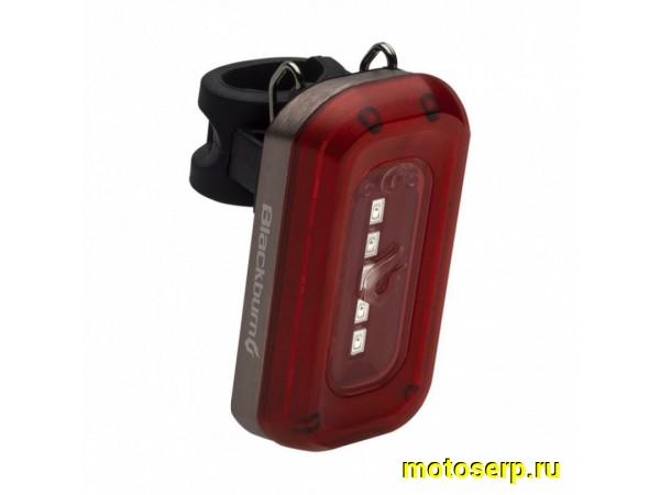 Купить  Фонарь задний Blackburn Central USB зарядка 20 LED Вело (шт) (Aviva 7053781 купить с доставкой по Москве и России, цена, технические характеристики, комплектация фото  - motoserp.ru