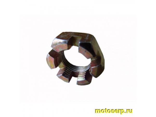 Купить  ====Гайка колеса, ступицы заднего колеса 150-250сс (30мм) (шт) (AVANTIS купить с доставкой по Москве и России, цена, технические характеристики, комплектация фото  - motoserp.ru