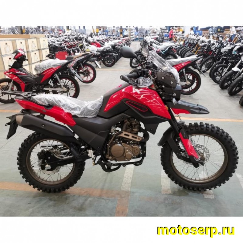 Купить  Мотоцикл внедорожный MM FIREGUARD TRAIL 250 Тур-эндуро (ЭПТС), 19/17, 169FMM (172FMM), баланс, верх. р/в, возд.,кик+эл., диск/диск (шт) купить с доставкой по Москве и России, цена, технические характеристики, комплектация фото  - motoserp.ru