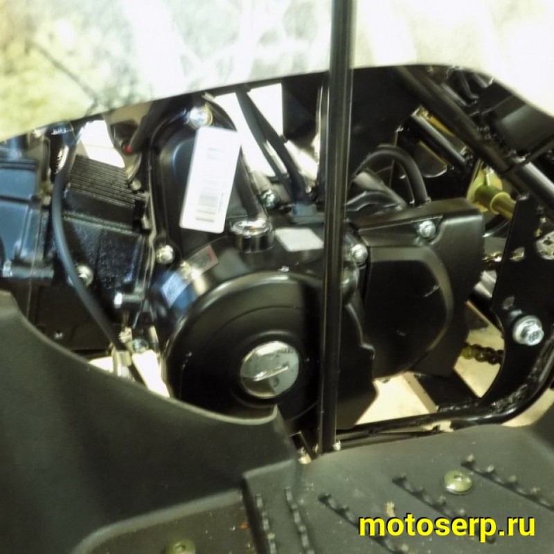 Купить  ====110cc Квадроцикл Motoland VOX110 RIDER, 110сс, утилит,детск. 6-10 лет, гидравл. тормоз, колеса 7", реверс, 2 багажника (2022) (шт) (ML 8133 купить с доставкой по Москве и России, цена, технические характеристики, комплектация фото  - motoserp.ru