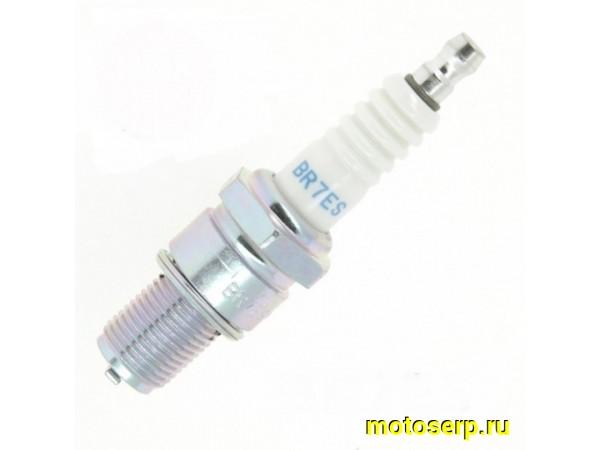 Купить  Свеча зажигания ( 7) NGK BR7ES (шт) (ML 3955 купить с доставкой по Москве и России, цена, технические характеристики, комплектация фото  - motoserp.ru
