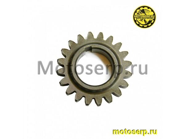 Купить  Шестерня маслонасоса ATV RM 500-2, 650, 650-2 (Z=20) (шт) (RMDetal 505E061 (RMDetal 0120583  купить с доставкой по Москве и России, цена, технические характеристики, комплектация фото  - motoserp.ru