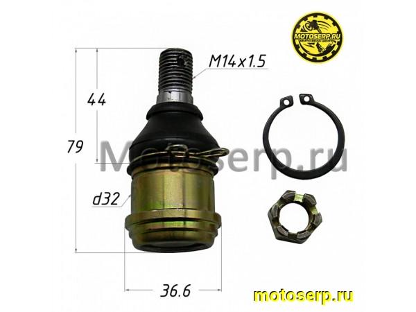 Купить  Шаровая опора нижняя ATV150 IRBIS (M14x1.5, D32/36.6, L=78.5) (шт) (MM 39911 купить с доставкой по Москве и России, цена, технические характеристики, комплектация фото  - motoserp.ru