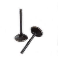 motoserp.ru - Клапан YX150,160 (впуск) (D-28mm, L-73mm, T-5mm) (шт) (TATA 703000013 - МотоВелоЦентр г.Серпухов