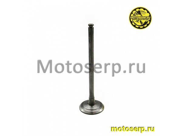 Купить  Клапан YX150-160 (впуск) (D-21mm, L-71mm, T-4mm) 4V (4-х клапанный) (шт) (SM 004-5374 купить с доставкой по Москве и России, цена, технические характеристики, комплектация фото  - motoserp.ru