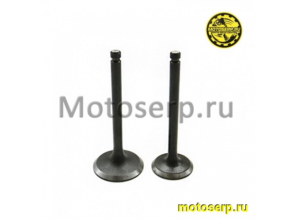 Купить  Клапан 139FMB (впуск/выпуск) (D-28mm, d-23mm, L-66mm, l-66mm, T-5mm, t-5mm) YX125,YX140,LF120 OEM, ММ STORM и др.(пар) (MM 94146 купить с доставкой по Москве и России, цена, технические характеристики, комплектация фото  - motoserp.ru