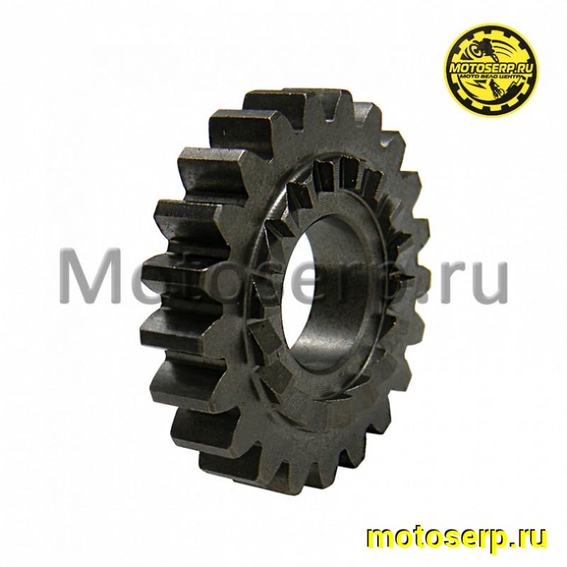 Купить  Шестерня вала кикстартера KAYO двиг. YX140 см3 (P040160) 21 зуб CN (шт) (Кокурин купить с доставкой по Москве и России, цена, технические характеристики, комплектация фото  - motoserp.ru