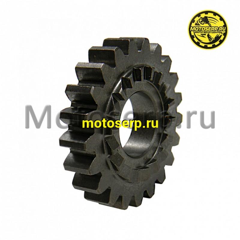 Купить  Шестерня вала кикстартера KAYO двиг. YX140 см3 (P040160) 21 зуб CN (шт) (Кокурин купить с доставкой по Москве и России, цена, технические характеристики, комплектация фото  - motoserp.ru