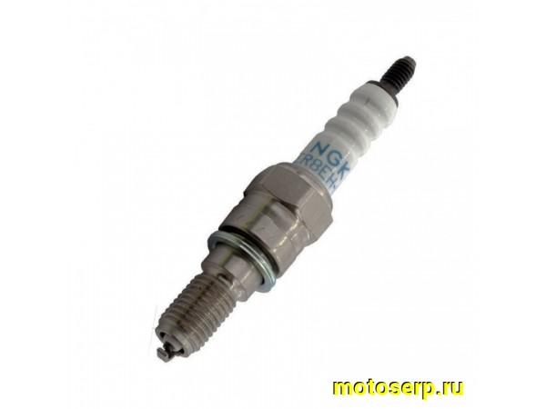 Купить  Свеча зажигания ( 8) NGK ER8EH-N (шт) JP Dio 4T AF63 купить с доставкой по Москве и России, цена, технические характеристики, комплектация фото  - motoserp.ru