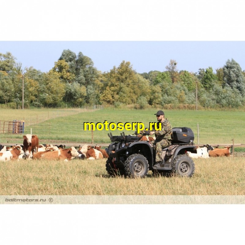 Купить  500сс Квадроцикл BALTMOTORS BM500 EFI (ЭПТС), черный, темно-зеленый,  утилит. 4х4, 491сс ; механ. с вариат; реверс , лебедка, фарк, спинка (шт) (BL купить с доставкой по Москве и России, цена, технические характеристики, комплектация фото  - motoserp.ru
