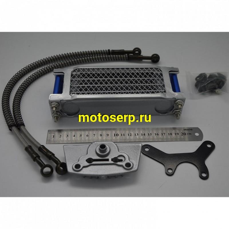 Купить  Радиатор масляного охлаждения 139FMB (153FMH/154FMI) Alpha, TTR125 (d-10) (Для головки с возд. охлажд. комп) (шт) (ANKON 008735 (MT S-2046 (MM 96903 купить с доставкой по Москве и России, цена, технические характеристики, комплектация фото  - motoserp.ru