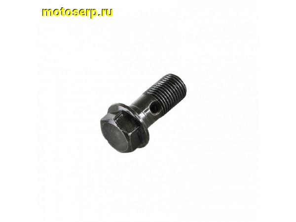 Купить  Болт масляного радиатора М12х28мм (шт) (0 купить с доставкой по Москве и России, цена, технические характеристики, комплектация фото  - motoserp.ru