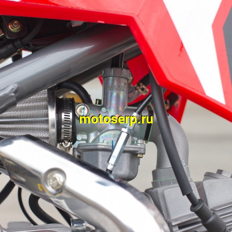 Купить  ====Питбайк IRBIS TTR 125R 125сс,17/14,эл.стартер, 2021 (шт) купить с доставкой по Москве и России, цена, технические характеристики, комплектация фото  - motoserp.ru
