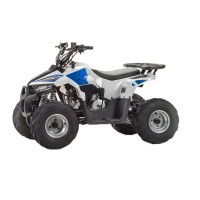 motoserp.ru - 110cc Квадроцикл Motoland VOX110 EAGLE 110сс, утилит,детск. 6-10 лет, колеса 7", реверс,торм. диск/барабан. (шт) (ML 9535 - МотоВелоЦентр г.Серпухов