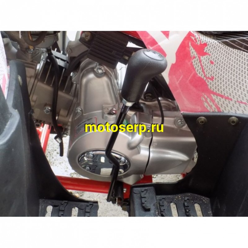 Купить  ====125cc Квадроцикл WELS THUNDER 125 LUX, 125сс, утилит. 9-12 лет, кол.8" литые, автомат, реверс, сигнал с контр. тормоза Диск/диск, и пр. (шт) купить с доставкой по Москве и России, цена, технические характеристики, комплектация фото  - motoserp.ru