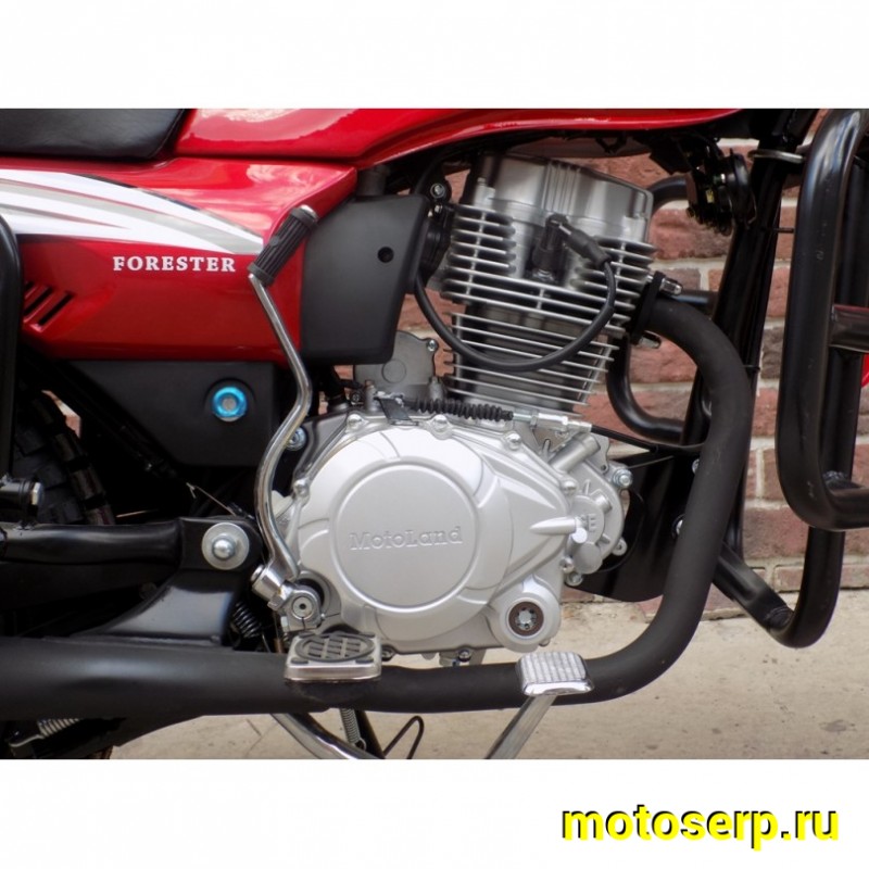 Купить  ====Мотоцикл внедорожный Motoland FORESTER 200 (ПТС), 18/18,  4Т, 200cc, внедор обвес, защ рук, защ фары, скл багажн (шт) (ML 3937 купить с доставкой по Москве и России, цена, технические характеристики, комплектация фото  - motoserp.ru