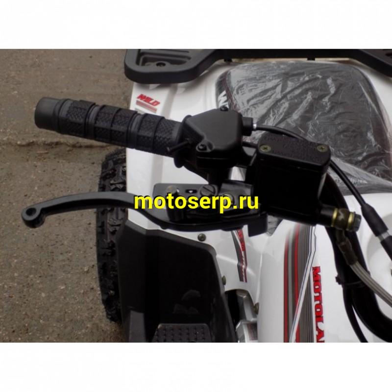 Купить  ====125cc Квадроцикл Motoland WILD-125 125сс, утилит, 2х4, колеса 8", автомат, реверс, тормоз диск/диск. выс по седлу 40см (шт) (ML 9552  купить с доставкой по Москве и России, цена, технические характеристики, комплектация фото  - motoserp.ru