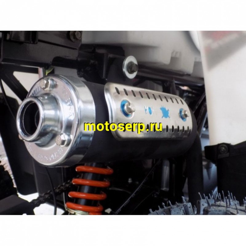 Купить  ====125cc Квадроцикл Motoland WILD-125 125сс, утилит, 2х4, колеса 8", автомат, реверс, тормоз диск/диск. выс по седлу 40см (шт) (ML 9552  купить с доставкой по Москве и России, цена, технические характеристики, комплектация фото  - motoserp.ru