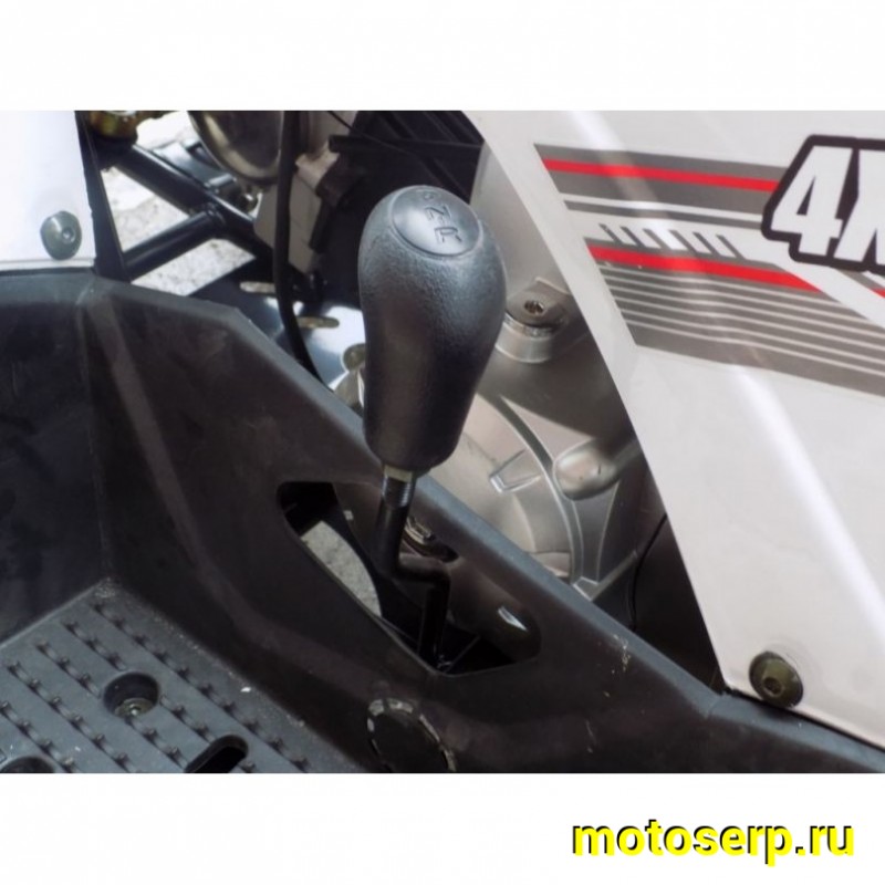 Купить  ====125cc Квадроцикл Motoland WILD-125 125сс, утилит, 2х4, колеса 8", автомат, реверс, тормоз диск/диск. выс по седлу 40см (шт) (ML 9552  купить с доставкой по Москве и России, цена, технические характеристики, комплектация фото  - motoserp.ru