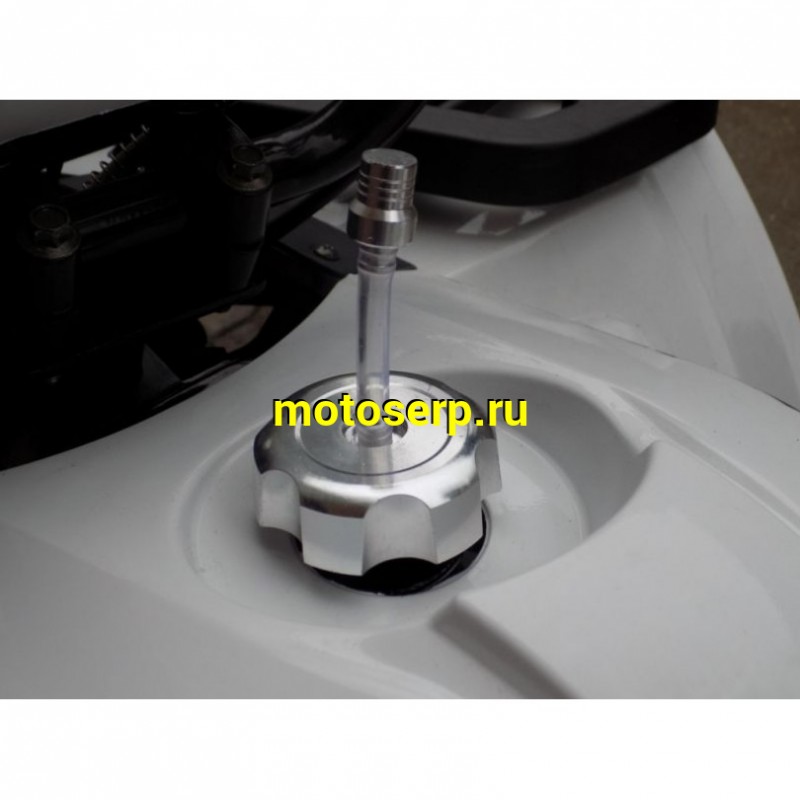 Купить  ====125cc Квадроцикл Motoland WILD-125 125сс, утилит, 2х4, колеса 8", автомат, реверс, тормоз диск/диск. выс по седлу 40см (шт) (ML 9552  купить с доставкой по Москве и России, цена, технические характеристики, комплектация фото  - motoserp.ru