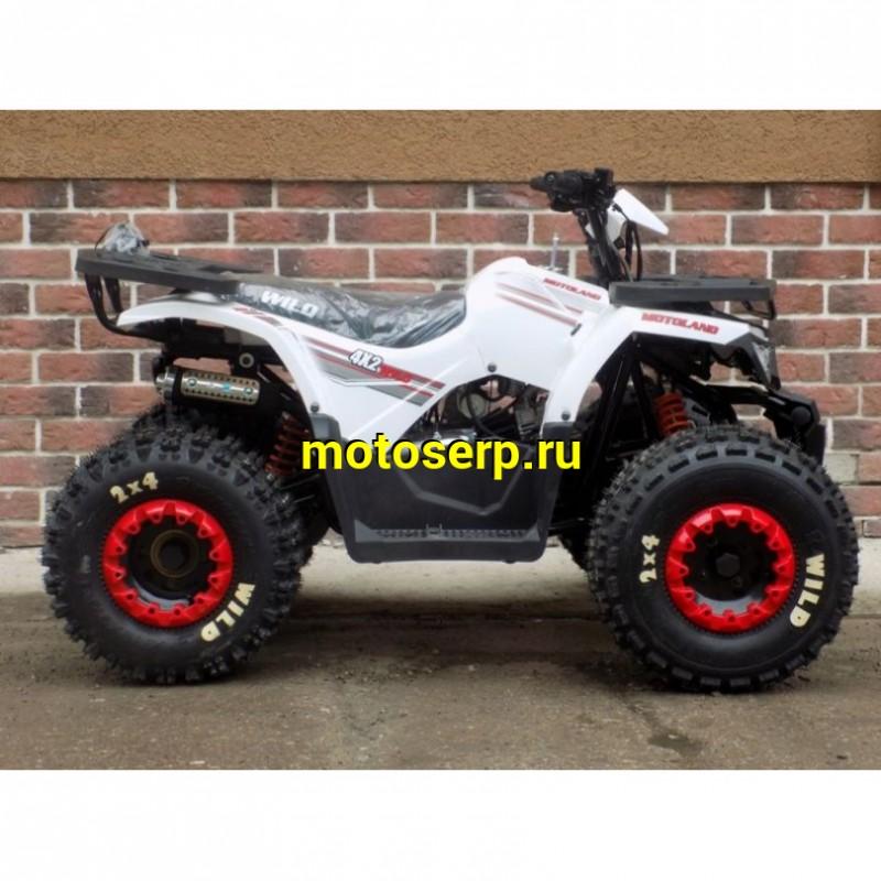 Купить  ====125cc Квадроцикл Motoland WILD-125 125сс, утилит, 2х4, колеса 8", автомат, реверс, тормоз диск/диск. выс по седлу 40см (шт) (ML 9552  купить с доставкой по Москве и России, цена, технические характеристики, комплектация фото  - motoserp.ru