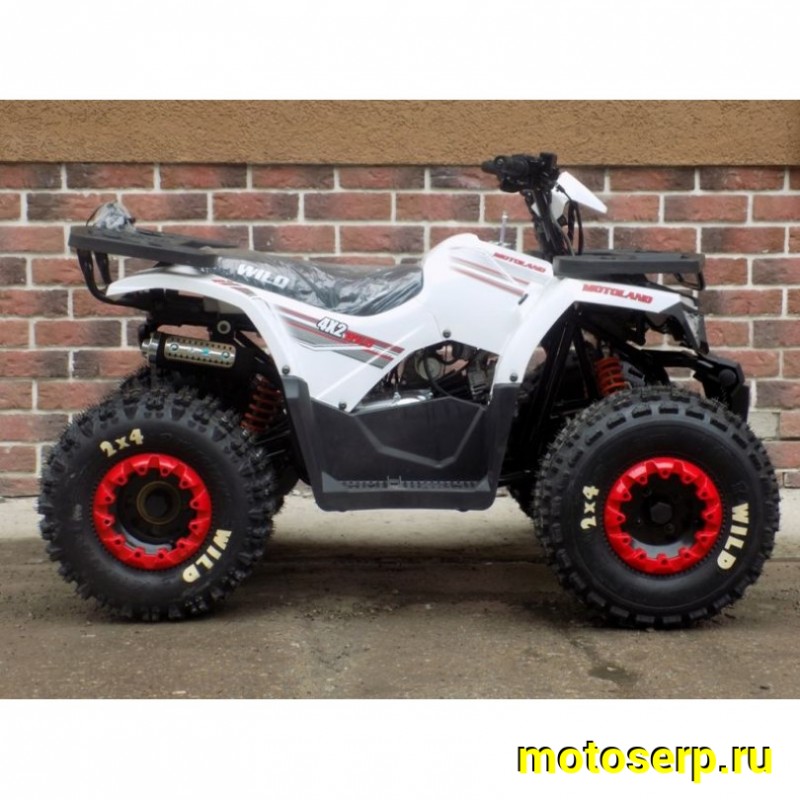 Купить  ====125cc Квадроцикл Motoland WILD-125 125сс, утилит, 2х4, колеса 8", автомат, реверс, тормоз диск/диск. выс по седлу 40см (шт) (ML 9552  купить с доставкой по Москве и России, цена, технические характеристики, комплектация фото  - motoserp.ru