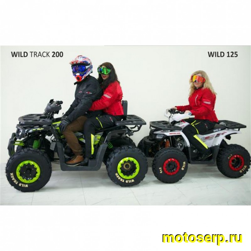 Купить  ====125cc Квадроцикл Motoland WILD-125 125сс, утилит, 2х4, колеса 8", автомат, реверс, тормоз диск/диск. выс по седлу 40см (шт) (ML 9552  купить с доставкой по Москве и России, цена, технические характеристики, комплектация фото  - motoserp.ru