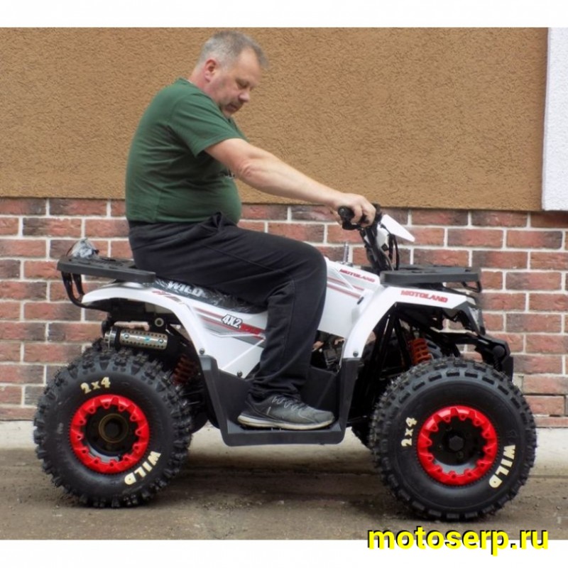 Купить  ====125cc Квадроцикл Motoland WILD-125 125сс, утилит, 2х4, колеса 8", автомат, реверс, тормоз диск/диск. выс по седлу 40см (шт) (ML 9552  купить с доставкой по Москве и России, цена, технические характеристики, комплектация фото  - motoserp.ru