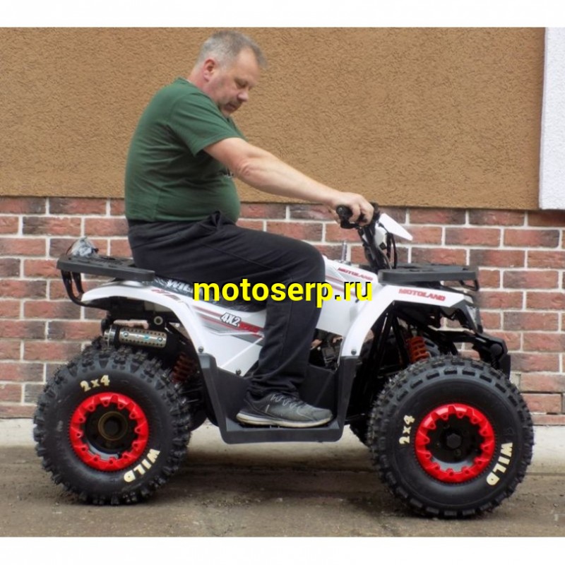 Купить  ====125cc Квадроцикл Motoland WILD-125 125сс, утилит, 2х4, колеса 8", автомат, реверс, тормоз диск/диск. выс по седлу 40см (шт) (ML 9552  купить с доставкой по Москве и России, цена, технические характеристики, комплектация фото  - motoserp.ru