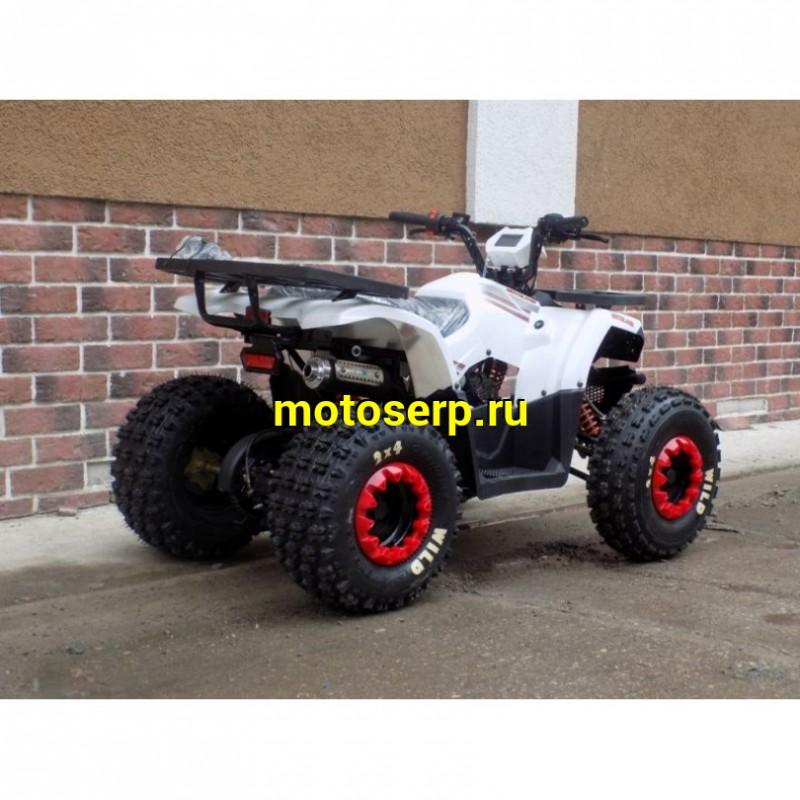 Купить  ====125cc Квадроцикл Motoland WILD-125 125сс, утилит, 2х4, колеса 8", автомат, реверс, тормоз диск/диск. выс по седлу 40см (шт) (ML 9552  купить с доставкой по Москве и России, цена, технические характеристики, комплектация фото  - motoserp.ru