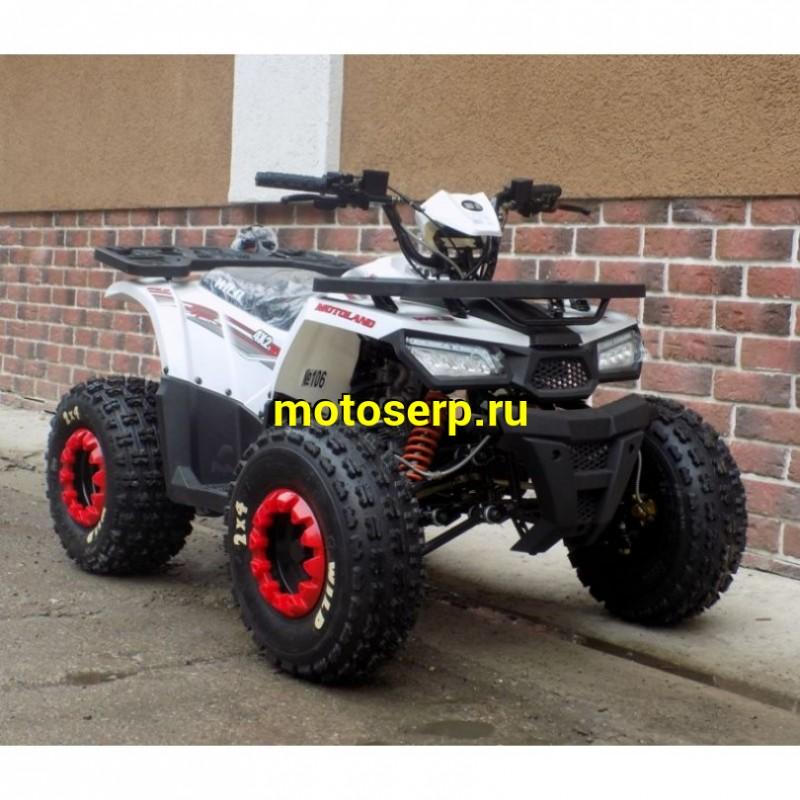 Купить  ====125cc Квадроцикл Motoland WILD-125 125сс, утилит, 2х4, колеса 8", автомат, реверс, тормоз диск/диск. выс по седлу 40см (шт) (ML 9552  купить с доставкой по Москве и России, цена, технические характеристики, комплектация фото  - motoserp.ru