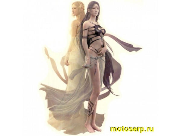 Купить  Наклейки (набор) Girls1 (22х35) (шт) (0 купить с доставкой по Москве и России, цена, технические характеристики, комплектация фото  - motoserp.ru