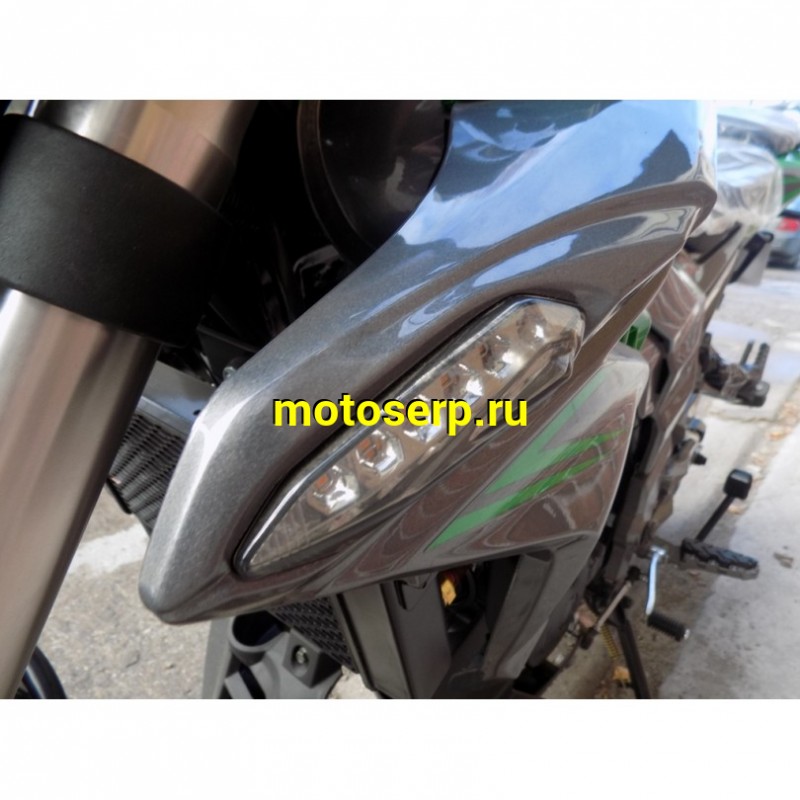Купить  Мотоцикл REGULMOTO T-Leopard 300 (2022), 250cc, 4-хтакт., жидк. охлажд., диск/диск., 17"/17", аудиосистема (зал) (шт) купить с доставкой по Москве и России, цена, технические характеристики, комплектация фото  - motoserp.ru